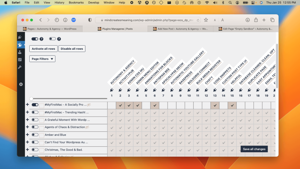 Plugin management and network resource page performance optimization for Membership Platform Autonomy & Agency WordPress powered Media Platform For Creators