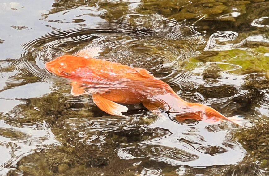 Big Spring Park, Alabama